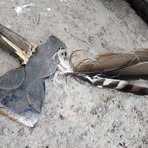 Profile Picture of Walter Harrison (@Walter-Harrison) on Facebook