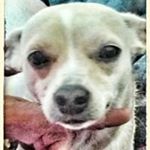 Profile Picture of Kim M Predmore (@kimmpredmore) on Instagram