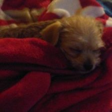 Profile Picture of Elijah Vaughn (@Elijahv08368753) on Twitter