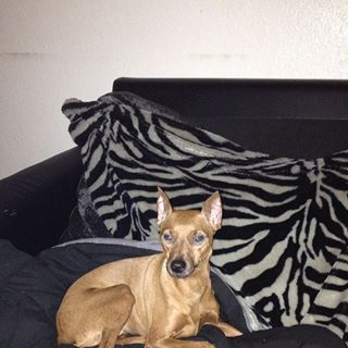 Profile Picture of Kylee Eckert (@kylee.eckert.1) on Facebook