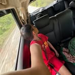 Profile Picture of Matthew Mallari (@Matthew-Mallari) on Facebook