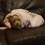 Rubymccormick - Instagram Profile Picture of Rubymccormick (@rubymc.9) on Instagram