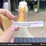 Profile Picture of Toni Stevenson (@tonitomato450) on Instagram