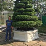 Profile Picture of Quách Phi tơ (@quachphito) on Instagram