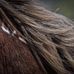 Profile Picture of Laurie Forrest (@laurie.forrest.14) on Facebook