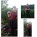 Profile Picture of Amy Kellerman (Amy) (@amy.kellerman.735) on Facebook