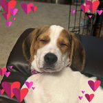 Profile Picture of Dawn Cushman (@naladc36) on Instagram
