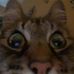 Profile Picture of Ariel Mcclellan (@ariel.mcclellan.73) on Facebook