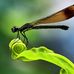 Profile Picture of Peterr Einiger (@peterr.einiger.7) on Facebook