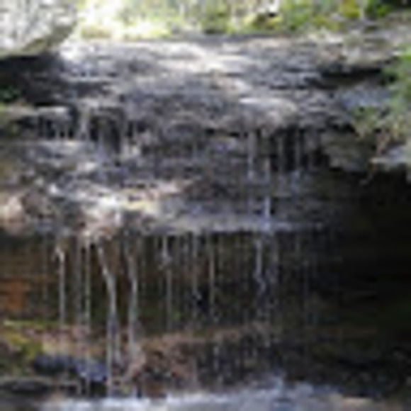 Profile Picture of Terri Hippler (@terri929) on Poshmark