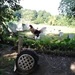 Profile Picture of Marc Gamboa (@marc.gamboa.125717) on Facebook