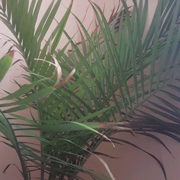 Profile Picture of Robyn Gill (@renaygill) on Poshmark