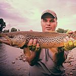 Profile Picture of Keith Shelly (@keithshelly123) on Instagram