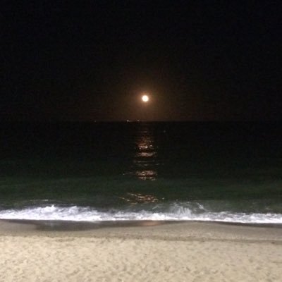 Profile Picture of Ann (@ann_mcphee1970) on Twitter