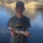Profile Picture of Andrew Dorris (@mtndrew012) on Instagram