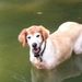 Profile Picture of Tami Buttree (@harpers9) on Pinterest