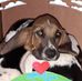 Profile Picture of Jacqueline Bermudez (@jacqueline.bermudez.7169) on Facebook