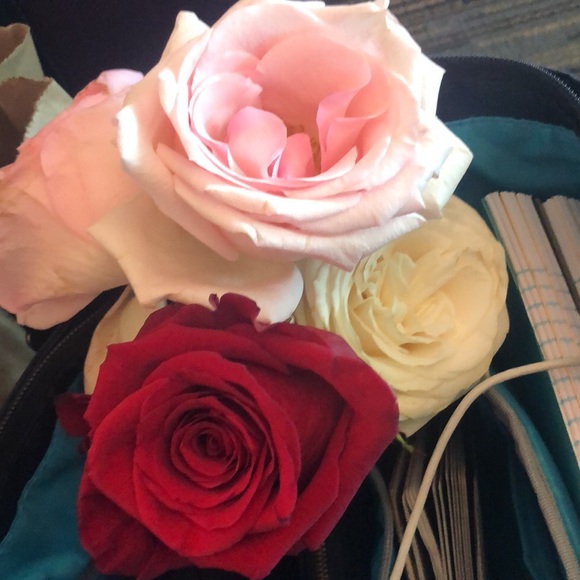 Sarah Antonious - Poshmark Profile Picture of Sarah Antonious (@sarah_antonious) on Poshmark