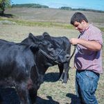 Profile Picture of Alexander Knowles (@knowles.alexander) on Instagram