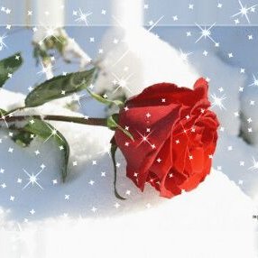 Profile Picture of Alexander Grom (@GromAlexander) on Twitter