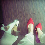 Profile Picture of Micaela Calabresi (@micaela calabresi) on Flickr