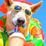 Profile Picture of Conrad Fischer (@Conrad-Fischer) on Facebook