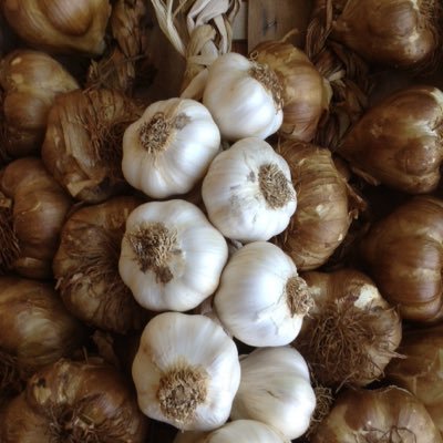 Simon Hutchinson - Twitter Profile Picture of Simon Hutchinson (@hutch_simon) on Twitter