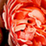 Profile Picture of Thomas Reilly (@treilly1_98) on Flickr