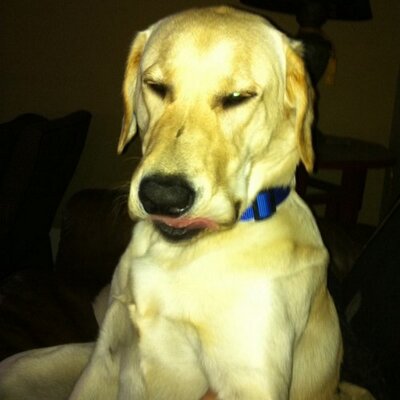 Profile Picture of Jeff Nebel (@JRoman1986) on Twitter