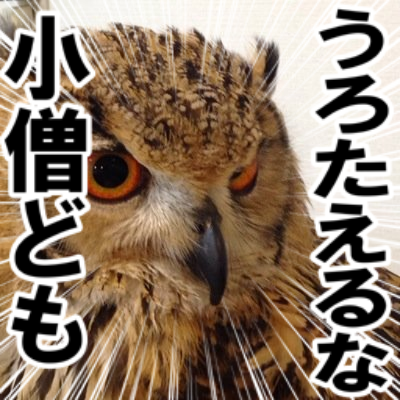 Profile Picture of 終身名誉ゼパルくん (@marenya_n) on Twitter