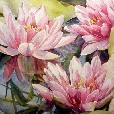 Profile Picture of Ariel Eli (@Arieleli18) on Twitter