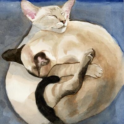 Profile Picture of Diane Carlton (@neilsbird) on Twitter