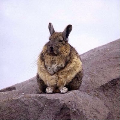 Profile Picture of Bálint Kodaj (@balintkodaj) on Twitter