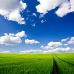 Profile Picture of Kevin Rioux (@rioux_dlis) on Twitter