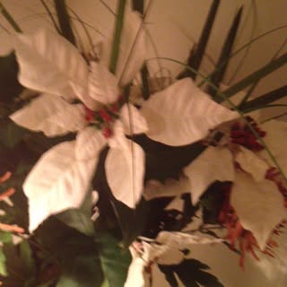 Profile Picture of Jessica Secrest (@jessica.secrest) on Instagram