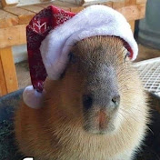 Profile Picture of Ayun (@_ayun) on Youtube