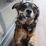 Profile Picture of Mikaela (@soy_mikaela) on Instagram