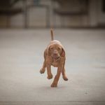 Profile Picture of John Jasinski (@drjohnjasinski) on Instagram