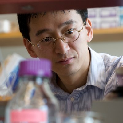 Profile Picture of Ling Qi (@lingqiannarbor) on Twitter