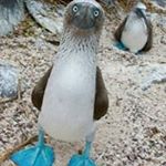 Profile Picture of Tim Plunkett (@timplunk) on Instagram