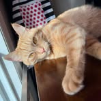 Profile Picture of Gianna Adams (@gianna.adams.9085) on Facebook