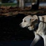 Profile Picture of Michael Siegmann (@m.siegmann) on Instagram