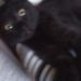 Profile Picture of Malcolm Sheldon (@malcolm2384) on Pinterest
