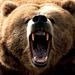 Profile Picture of Raymond Arneson Sr (@arnie1usa) on Pinterest