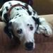 Profile Picture of Sandy DeVault (@landscapearchit) on Pinterest
