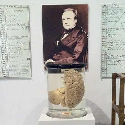 Profile Picture of Christopher Babbageon Twitter