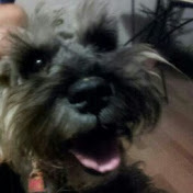 Profile Picture of Manuel Lucio (@manuellucio7424) on Youtube