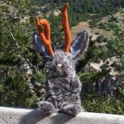 Profile Picture of Jennifer Peterson (@soperten1) on Pinterest