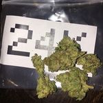 Profile Picture of Brian Zacks (@brianzack12) on Instagram