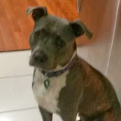 Profile Picture of Christopher Barber (@22watchout22) on Youtube